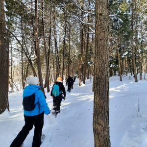 Rando-yoga hivernale (Mirabel)